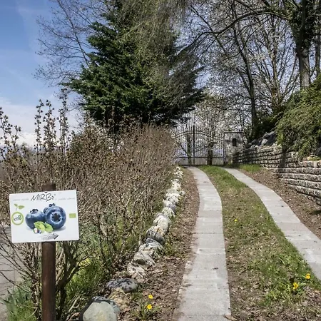 Apartment Il Mirtillo Moncrivello