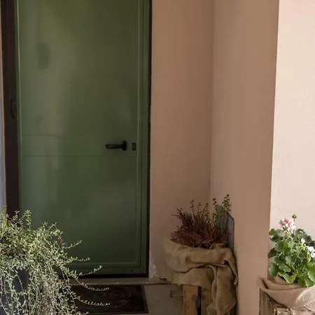 Il Mirtillo Apartment