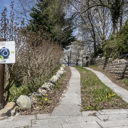 Il Mirtillo Moncrivello