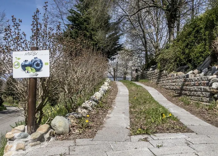 Il Mirtillo Moncrivello